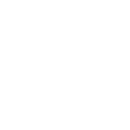 Emote Guardian's Parade