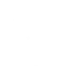 Baile Siente la Fuerza
