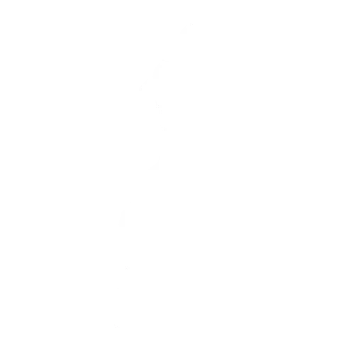 Dança Gangnam Style
