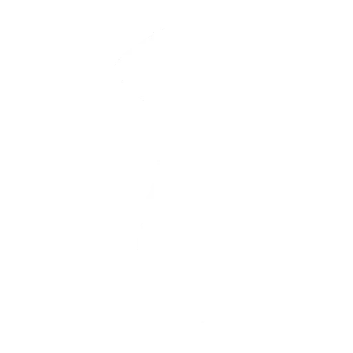 Baile Flash Kick