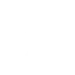 Baile Postura ninja: Donnie