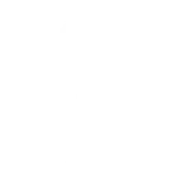 Emote S-Rank Scent