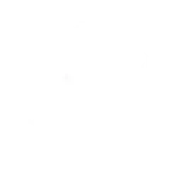 Emote Shadow Summoner