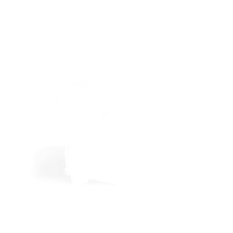 Dança Vãzinha Mágica
