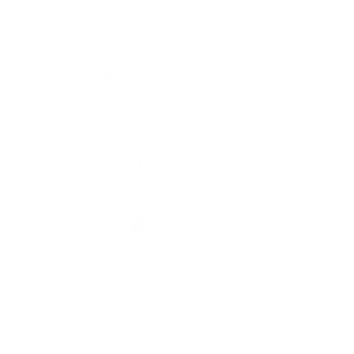 Baile Voltereta de Blanka