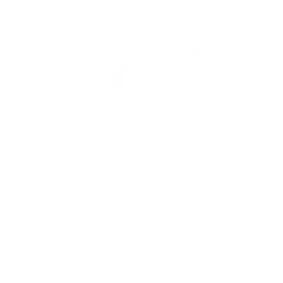 Danse Traversée de Terrific