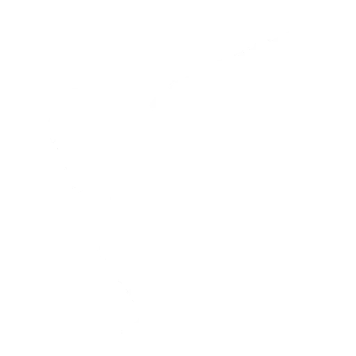 Baile ¡Lightning Kick!