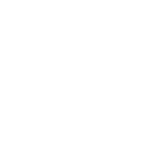 Baile ¡Shoryuken!