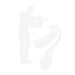 Dance Erbsen-Trio
