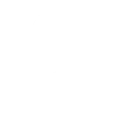 Dance Birdarang-Wirbel