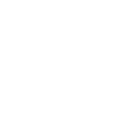 Emote Conch Call