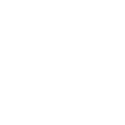 Dance Raidens Sieg