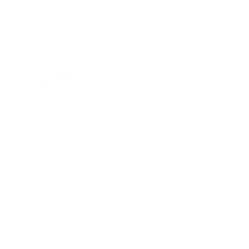 Dança Last Forever