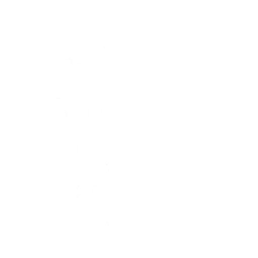 Baile Digitalización