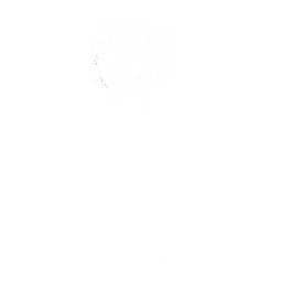Dança Rebatida Feliz