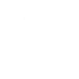 Champion-Medaille fortnite dance