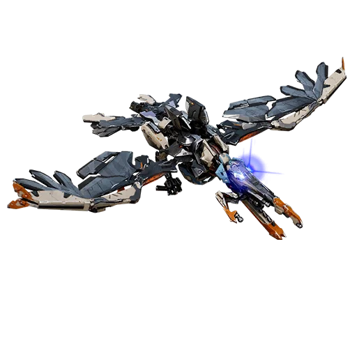 Grauhabicht