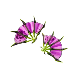 Radiant Thorns