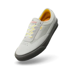 Chaussures Vans Skate Curren Caples Grey