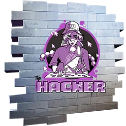  The Hacker