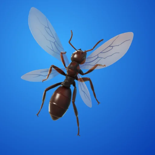 Ant-Tonio