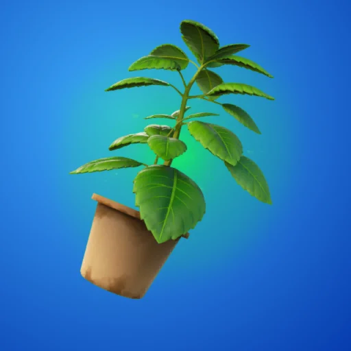 Herbe verte Herbe verte