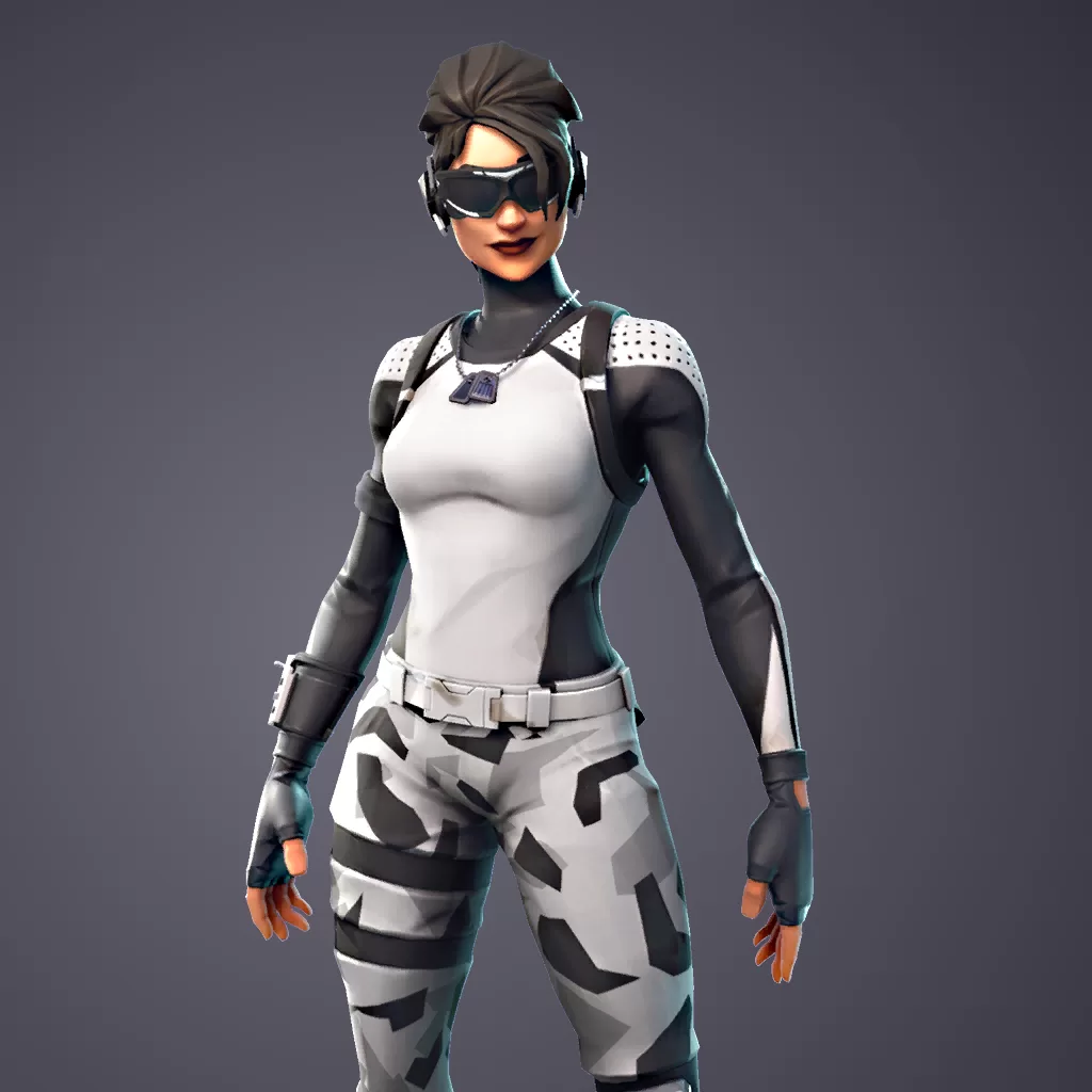 Arctic assassin fortnite skin